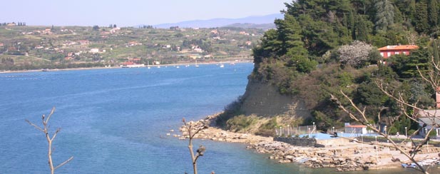 Image01